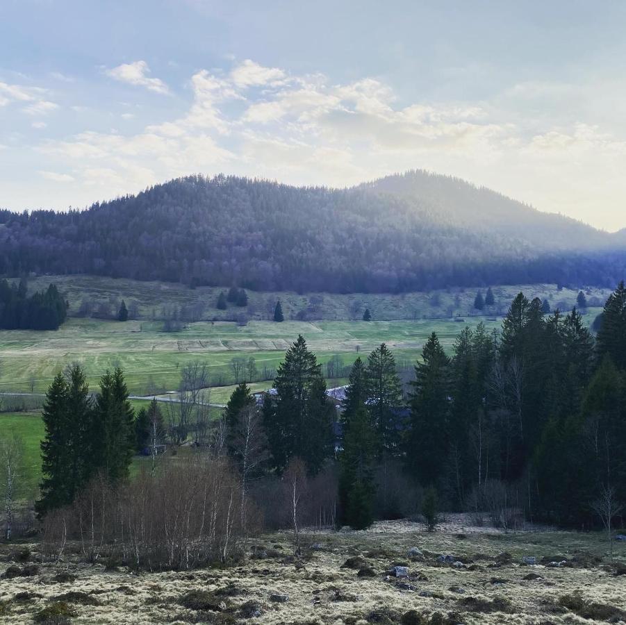 Hotel Hirschen Menzenschwand-Hinterdorf Buitenkant foto