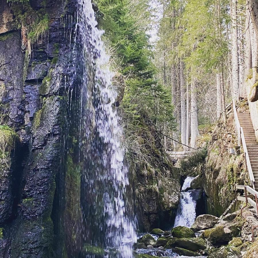 Hotel Hirschen Menzenschwand-Hinterdorf Buitenkant foto