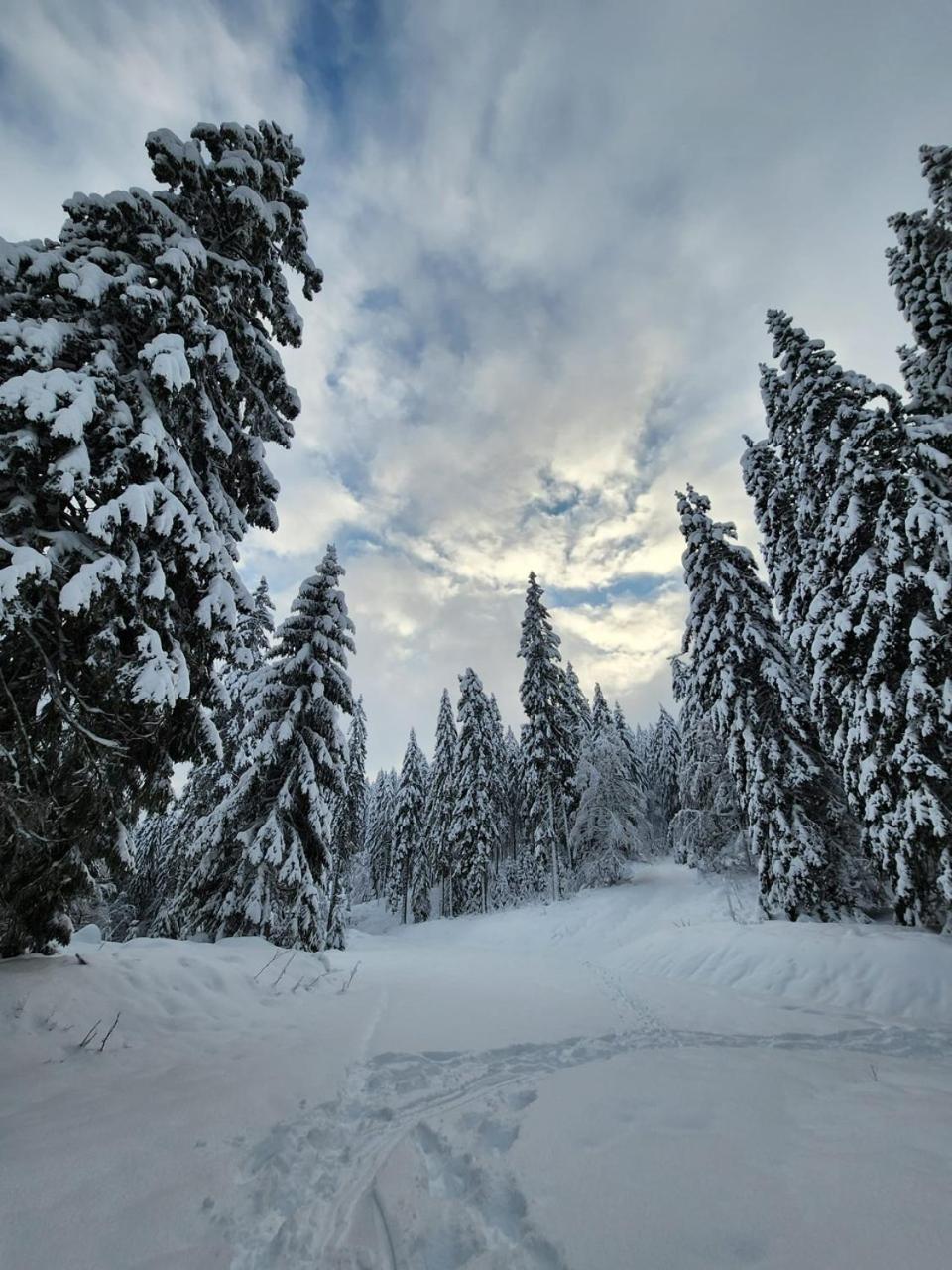 Hotel Hirschen Menzenschwand-Hinterdorf Buitenkant foto