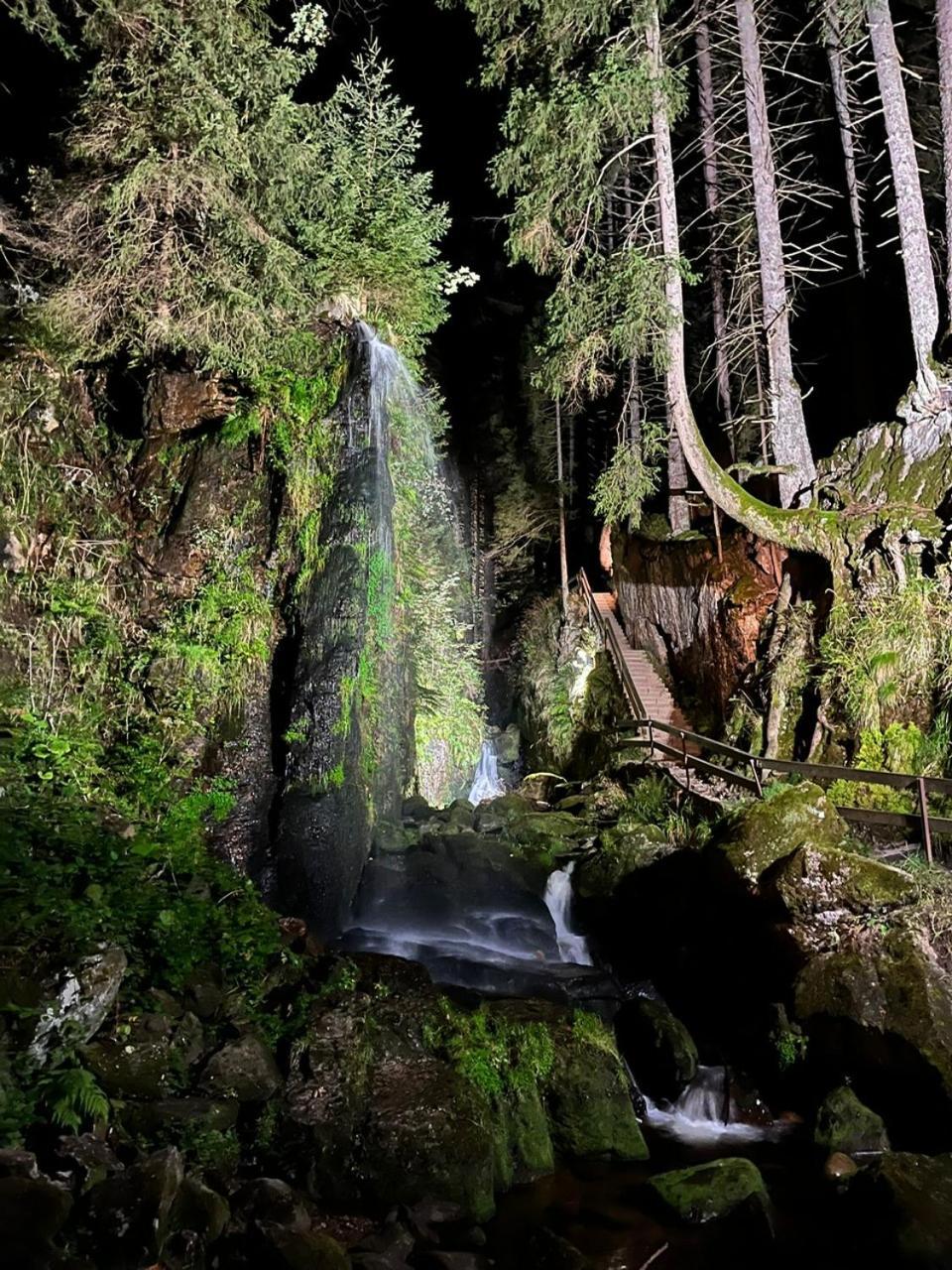 Hotel Hirschen Menzenschwand-Hinterdorf Buitenkant foto