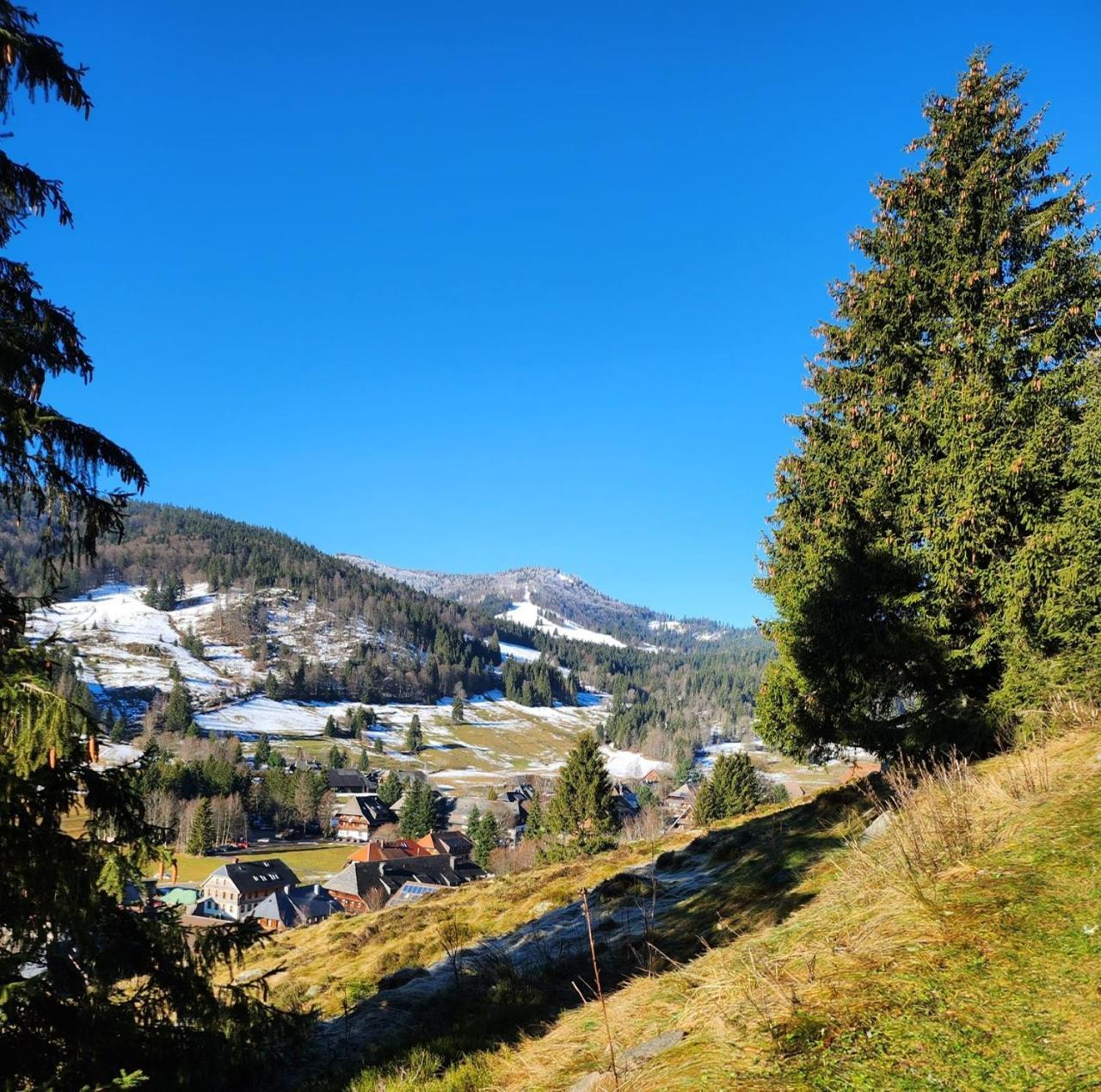 Hotel Hirschen Menzenschwand-Hinterdorf Buitenkant foto