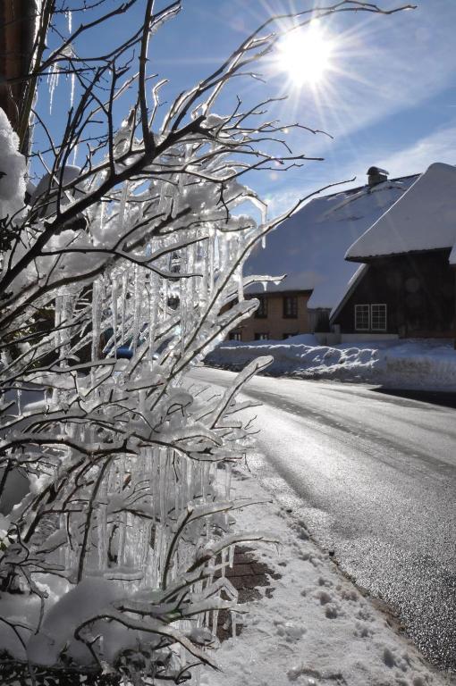 Hotel Hirschen Menzenschwand-Hinterdorf Buitenkant foto